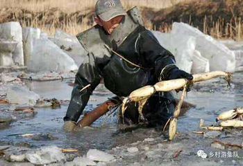 沈阳新民珍珠湖第 6 张图片