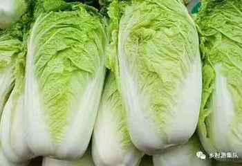 沈阳新民珍珠湖第 7 张图片