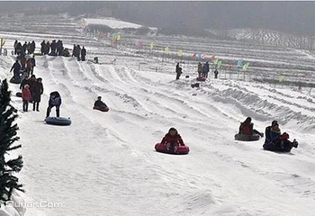 金帝顺滑雪场第 4 张图片