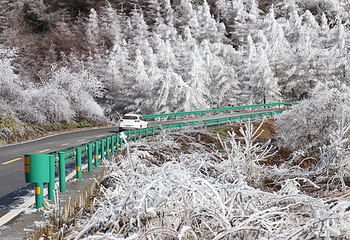 茅草坝滑雪场第 8 张图片