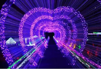 朝歌里梦幻灯光节第 1 张图片