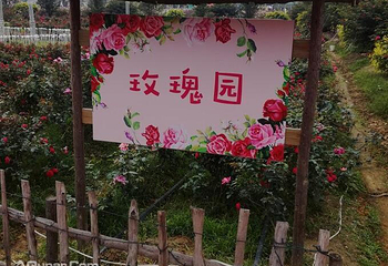 大埔围美丽乡村景区第 3 张图片