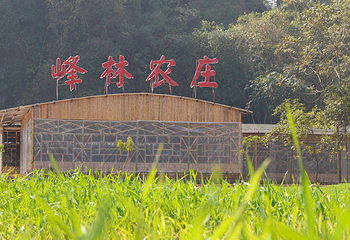 峰林晓镇第 62 张图片