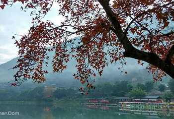 九龙谷景区第 7 张图片