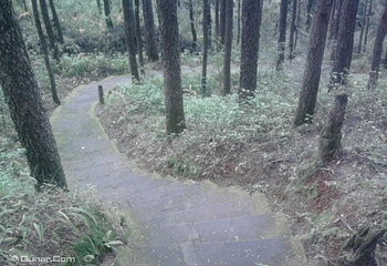 凤山森林浴场第 3 张图片