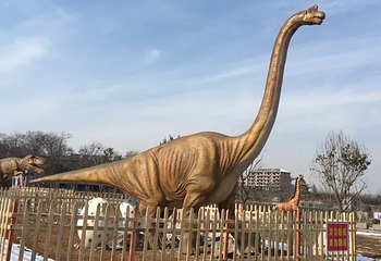 洛阳马蹄泉第 1 张图片