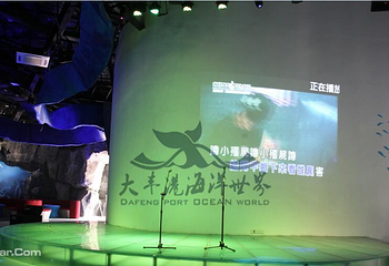 盐城港大丰海洋世界第 17 张图片
