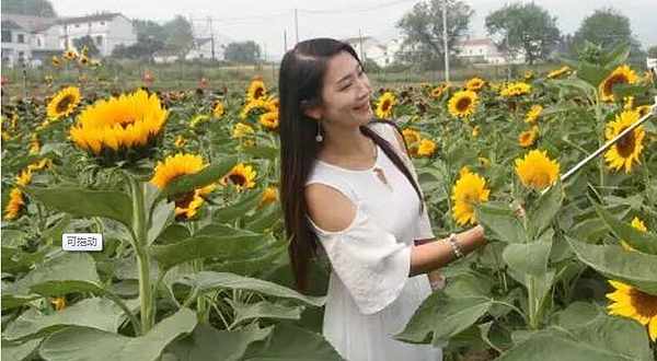 安庆市首届向日葵花展旅游文化节