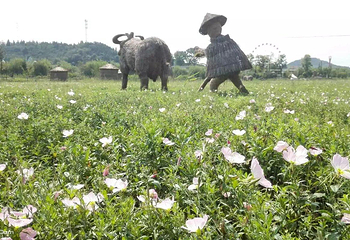 原香国际香草园第 15 张图片