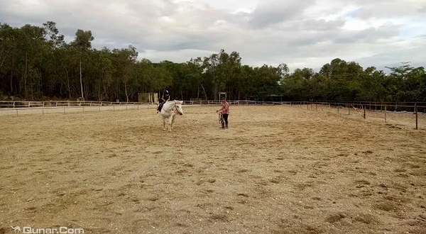 三亚马术俱乐部