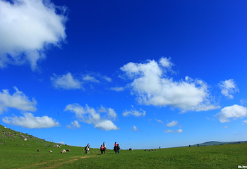 锡林郭勒吉祥草原旅游区第 7 张图片