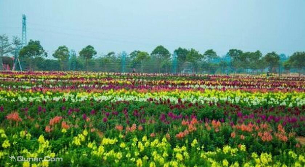 香家堡梦幻花世界