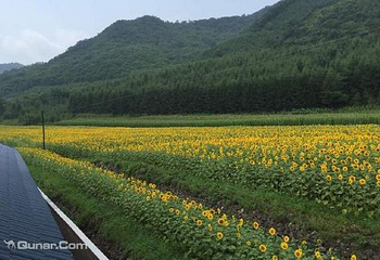 丹东青山沟万花谷景区第 1 张图片
