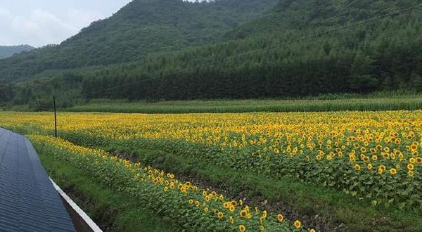 丹东青山沟万花谷景区
