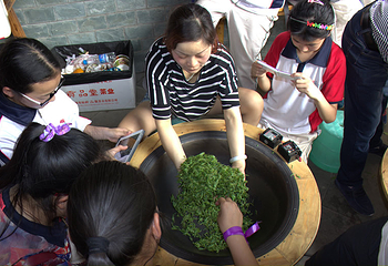 茶溪谷第 28 张图片