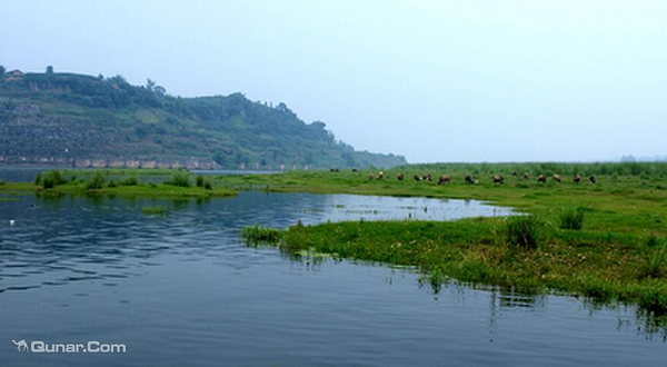 安居黄家坝湿地公园