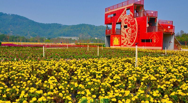 广东逸丰生态园