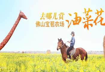 广东佛山宝苞农场第 4 张图片