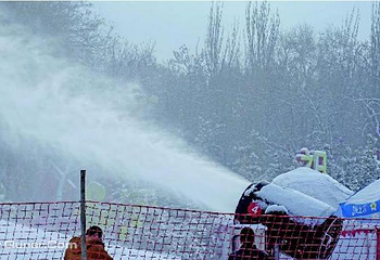 乌鲁木齐市植物园-冰雪大世界第 8 张图片