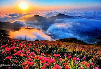 天上花海景区第 1 张图片