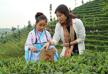 茶溪谷第 22 张图片