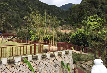 溪山温泉-丛林探险第 24 张图片