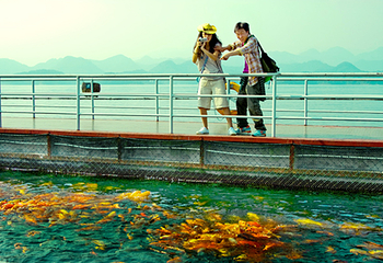千岛湖中心湖区休闲艇（中心湖旅游码头）第 3 张图片