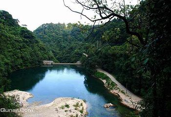 天井山林场第 1 张图片
