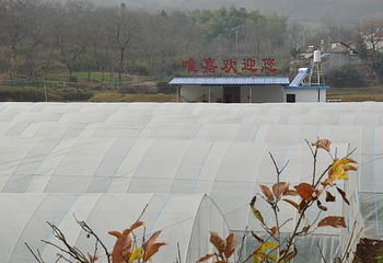 罗田唯嘉生态园第 4 张图片