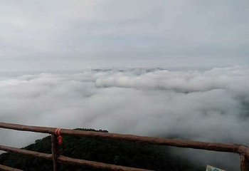天女山森林公园第 4 张图片