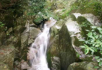 天岳幕阜山第 30 张图片
