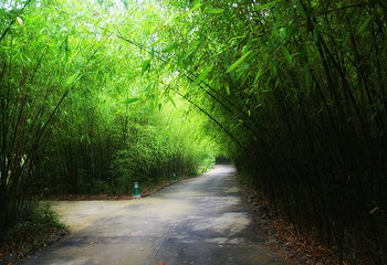 豫西大峡谷风景区第 76 张图片