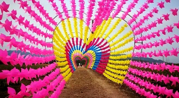 芦荟风车灯光展