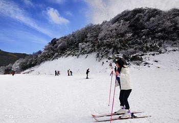 金佛山西坡景区第 2 张图片