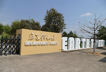 元谋土林第 4 张图片