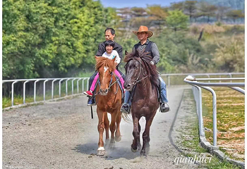 宋隆小镇•花世界旅游度假岛第 8 张图片