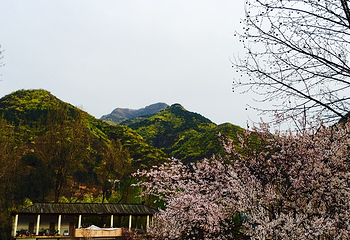 豫西大峡谷风景区第 75 张图片