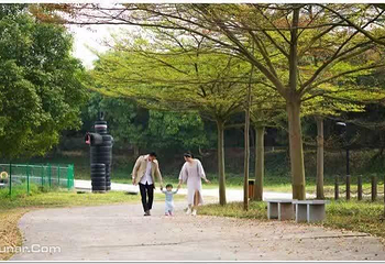 宋隆小镇•花世界旅游度假岛第 7 张图片