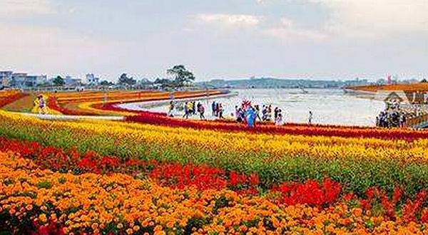 宾阳花海景区