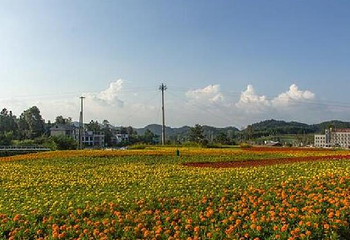 羊昌花画小镇第 18 张图片