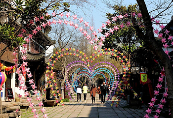 梅花洲第 13 张图片