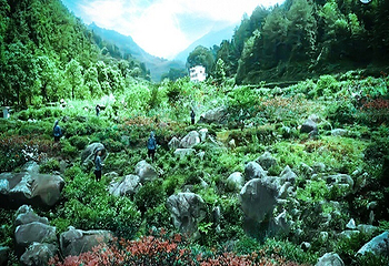 四季花谷第 6 张图片