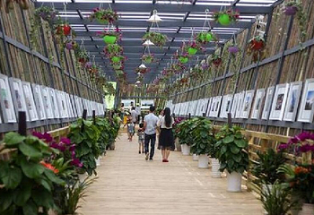 羊昌花画小镇第 14 张图片