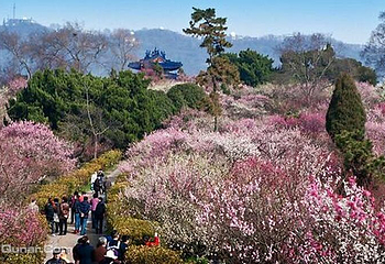 梅花山风景区第 1 张图片