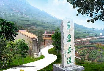 羊岩山茶文化园景区第 3 张图片
