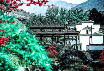 四季花谷第 4 张图片