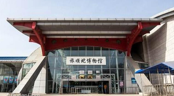 蛇岛老铁山自然博物馆