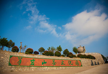 羊岩山茶文化园景区第 2 张图片