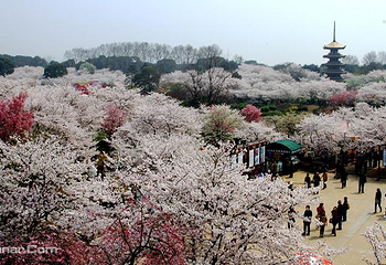 东湖磨山景区第 3 张图片