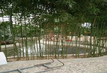 乐亭丞起温泉水世界第 3 张图片